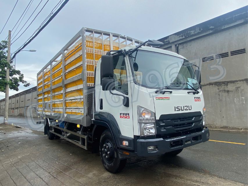 Isuzu FRR650 Thùng Chở Gia Cầm Euro 5 2026