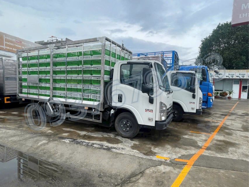 Isuzu QKR270 Thùng Chở Gia Cầm 2 Tấn 2