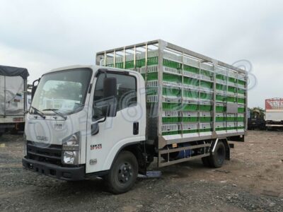 Xe Tải Isuzu QKR270 Thùng Chở Gia Cầm 2 tấn 2